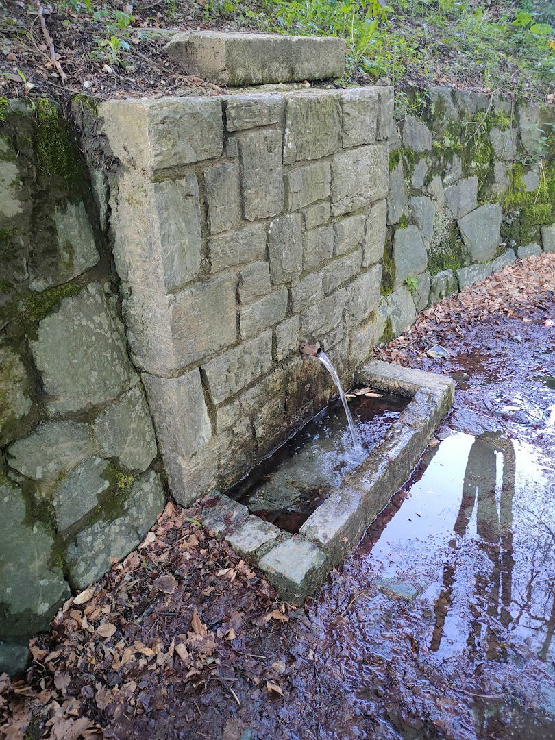 Sljemensko vrelo (Sokolovo vrelo)
