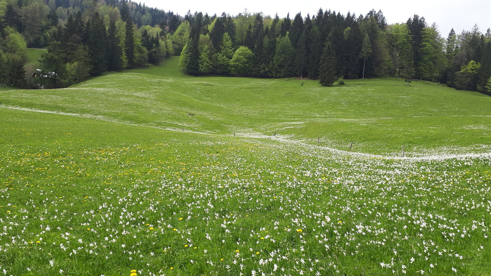 Agrimat, trgovina in servis kmetijske in gradbene mehanizacije, Janez Žontar s.p.