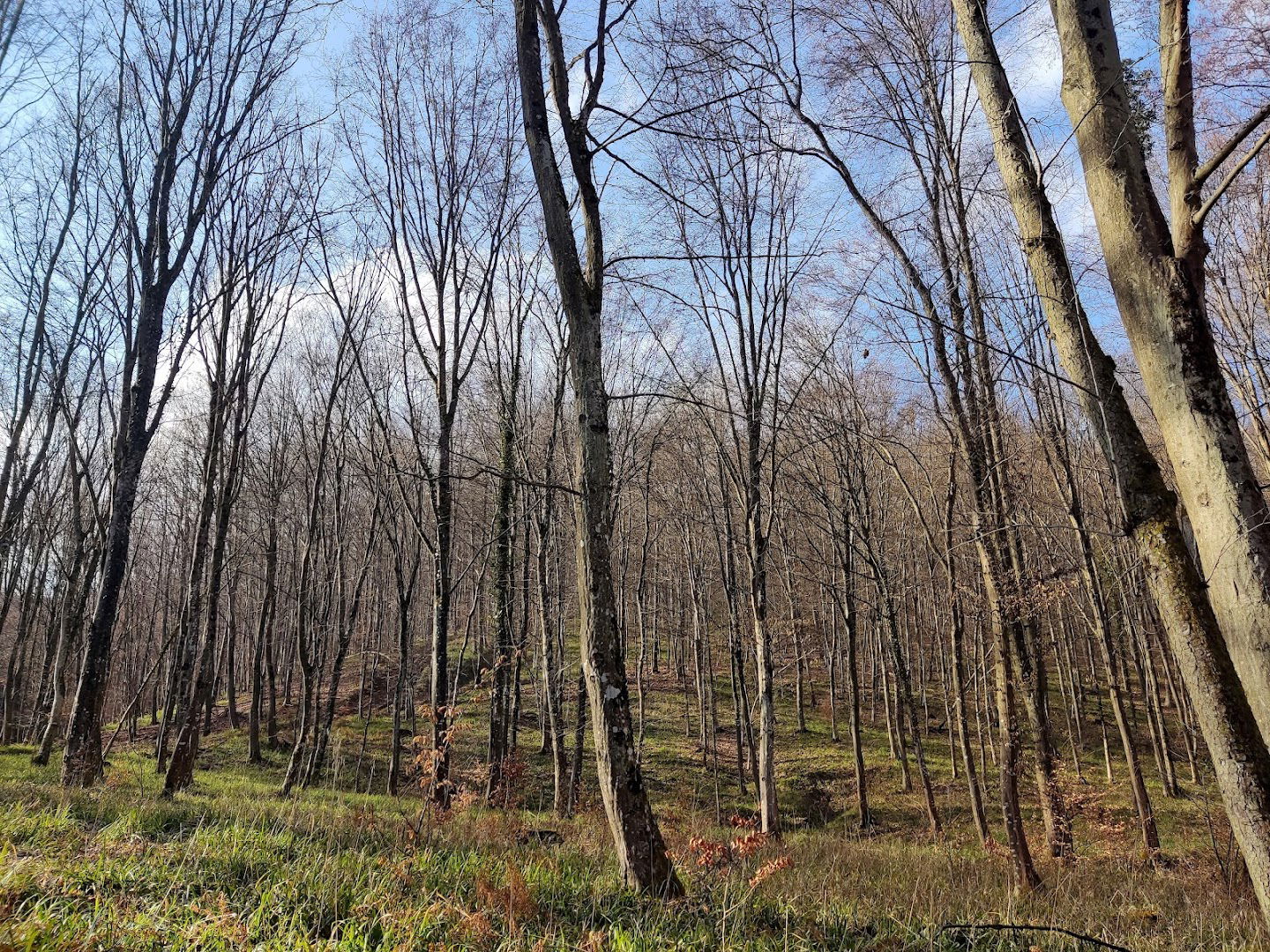 Mikulić Potok - Vrabečka Gora