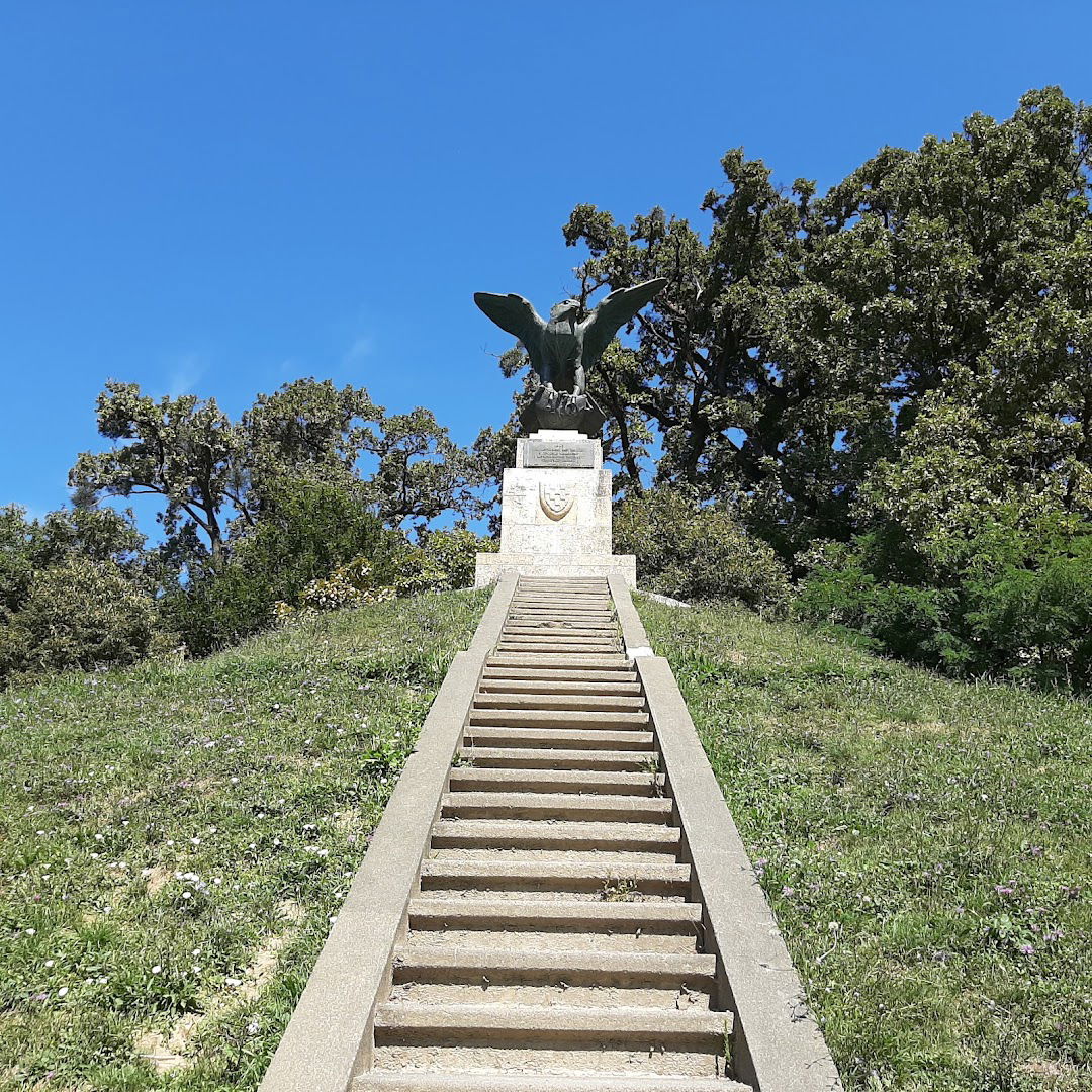 Sokolska mogila