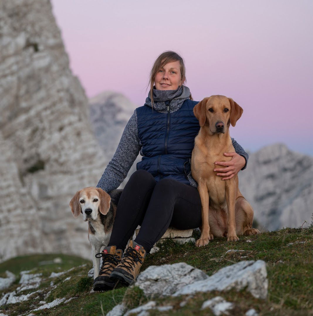 Izobraževanje in druge storitve, Maja Jankovec s.p.