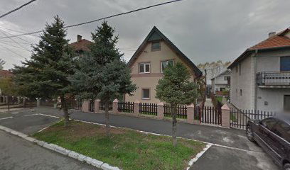 Auto-Taxi Zivomir Mijuskovic Preduzetnik Borca,Prelivacka 92