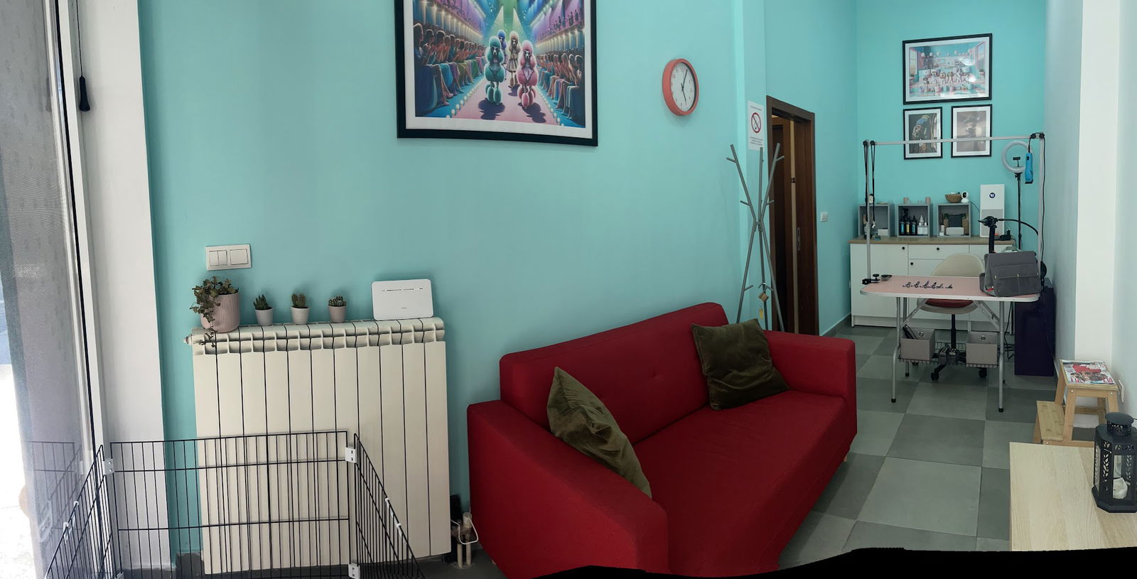 Čupa - Salon za pse