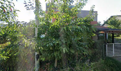 Konzulat Republike Namibije