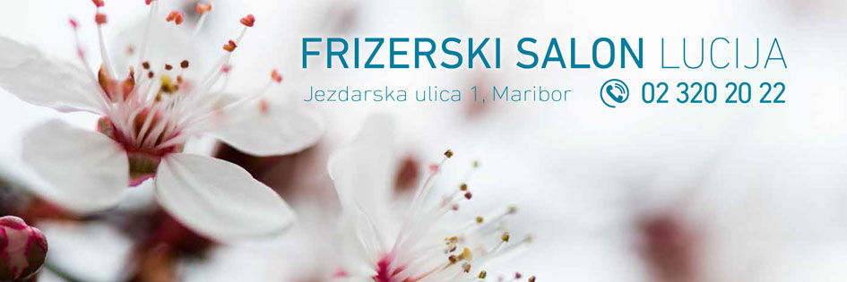 Frizerski salon Lucija, Lucija Marčič s.p.