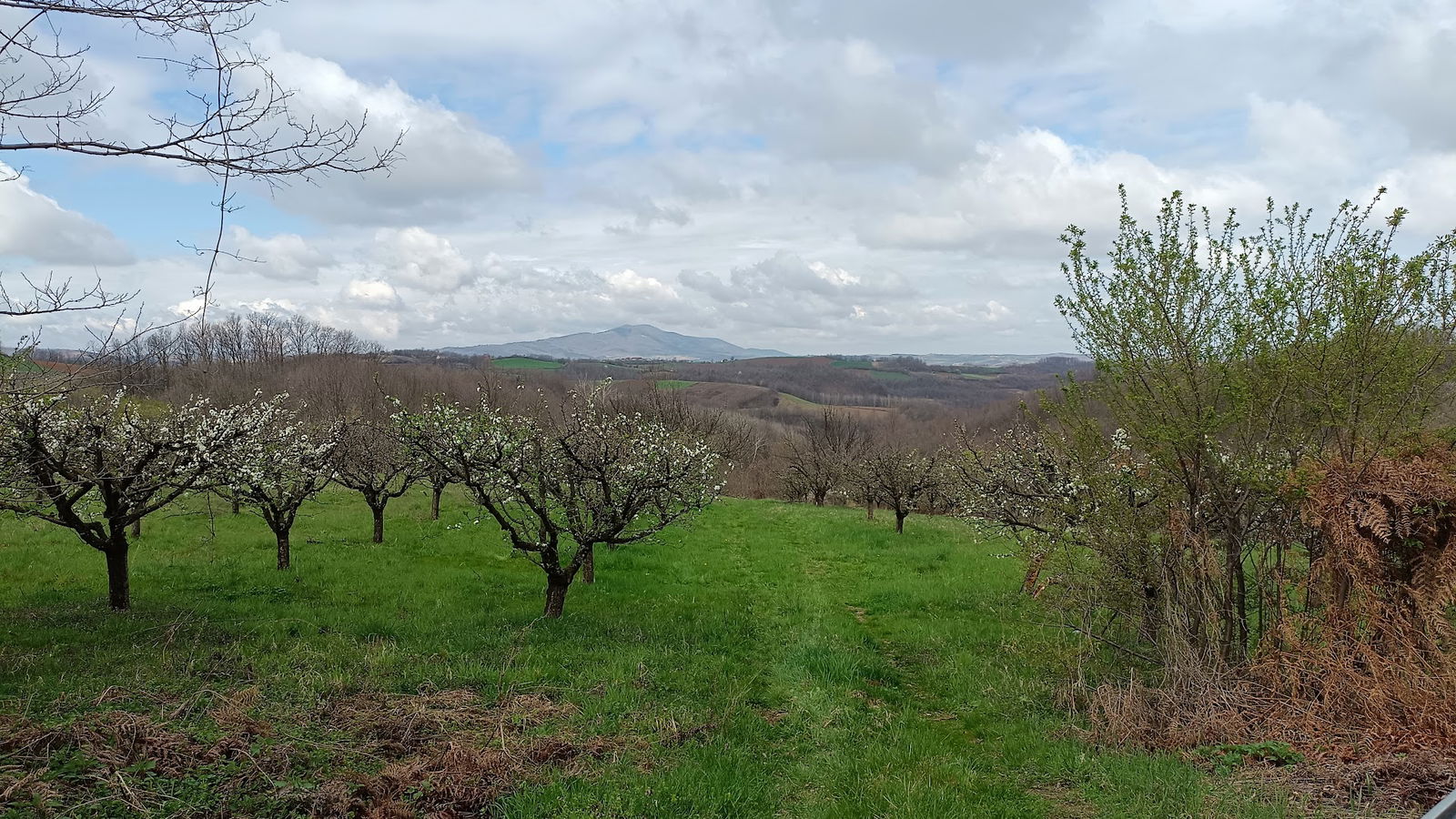 Gradojević Raskrsce