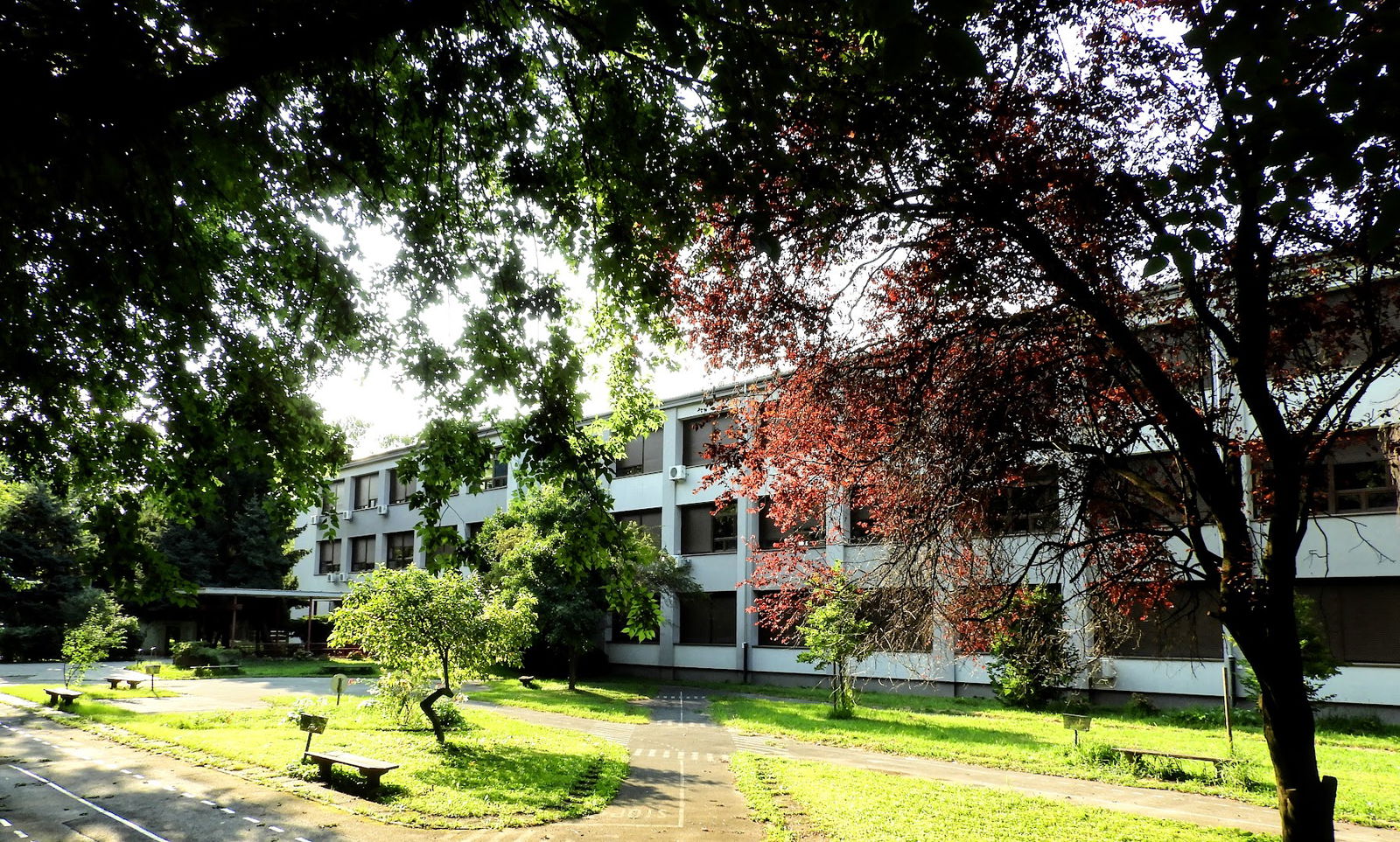 Elementary school Lovro pl. Matačića