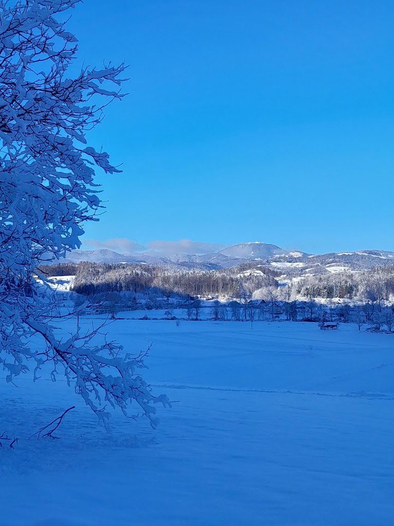 Podgorje pri Letušu