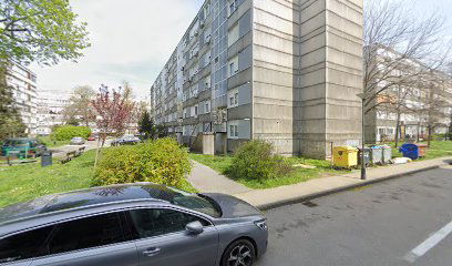 Main Park - Chestnut forest