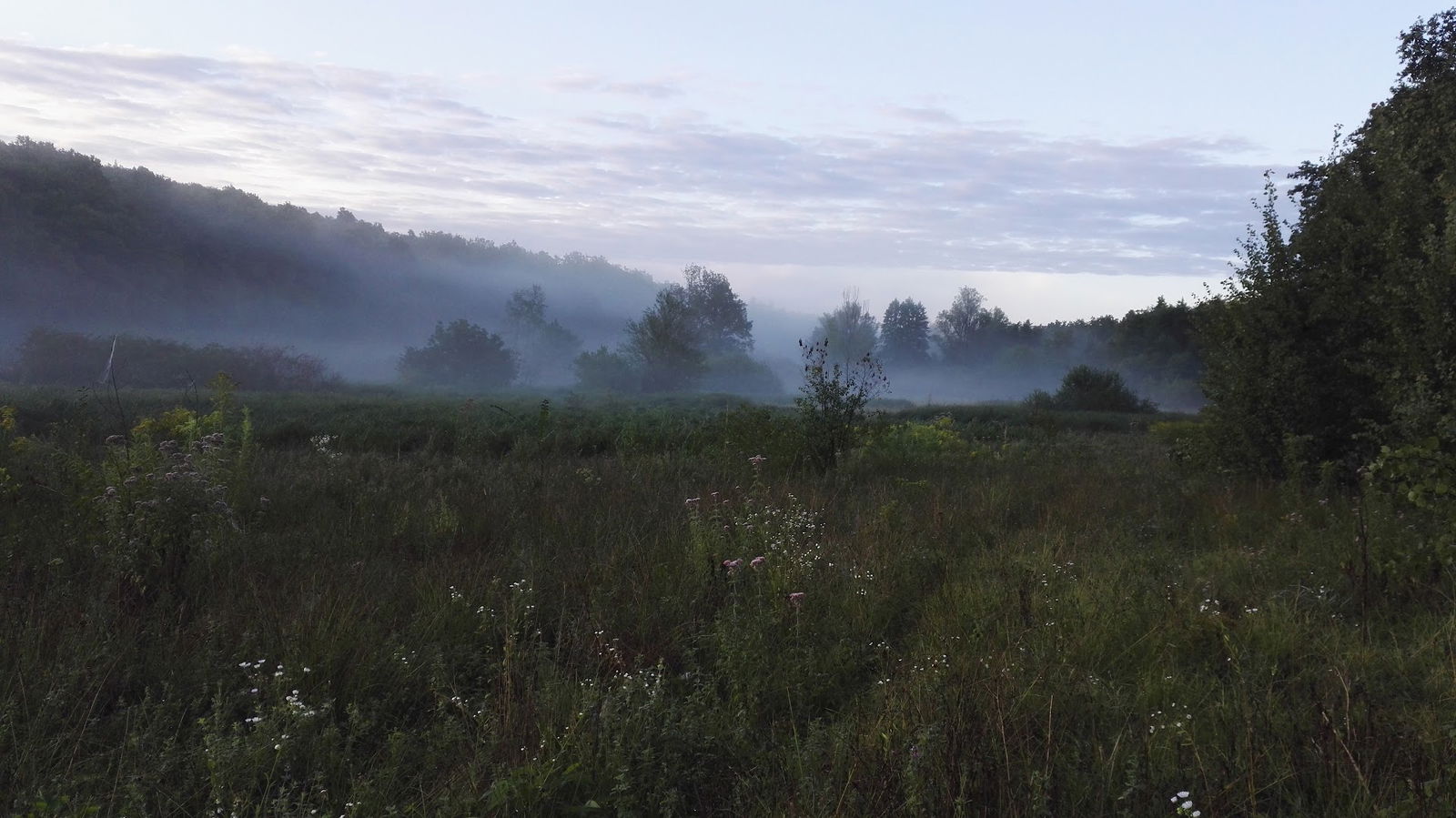 LOVAČKA UDRUGA FAZAN KRAŠIĆ