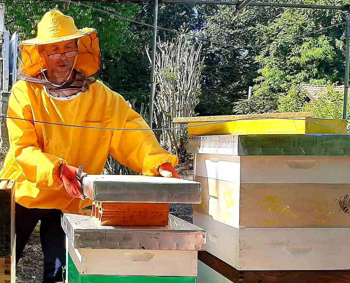 Pčelarstvo Karlović