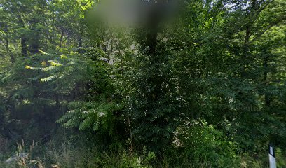 BONETTI (direzione Monfalcone)