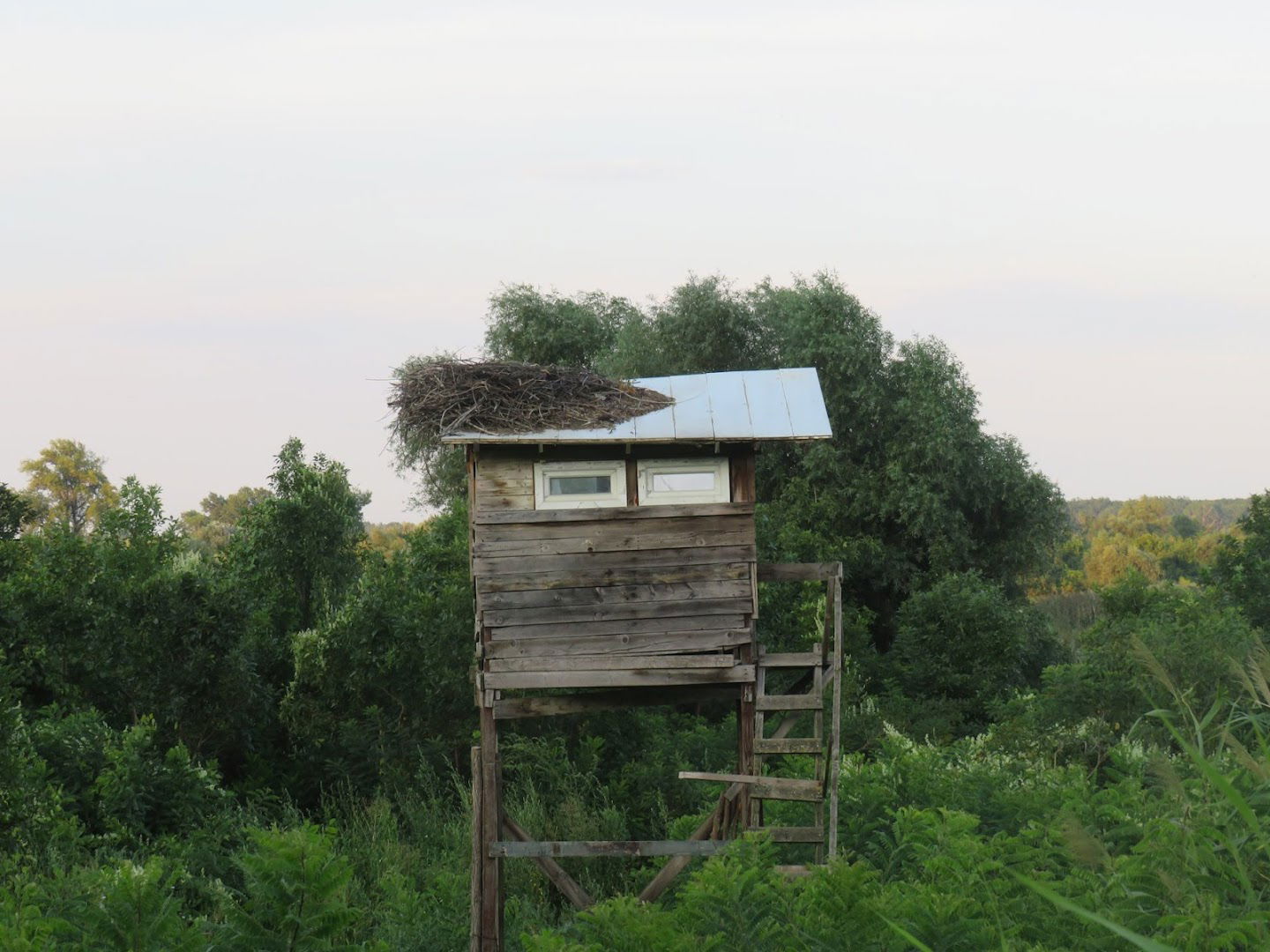 Vinčanska Ada (Bird Watching Area)