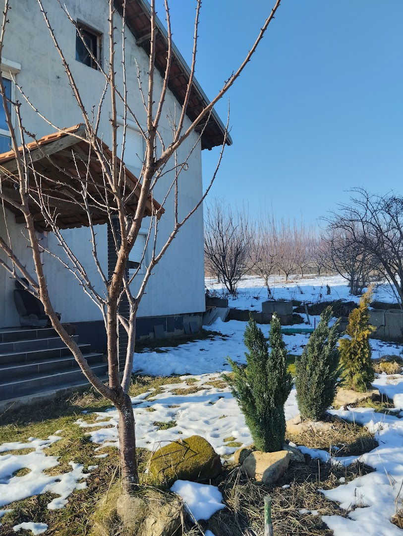 Summer house in Belgrade