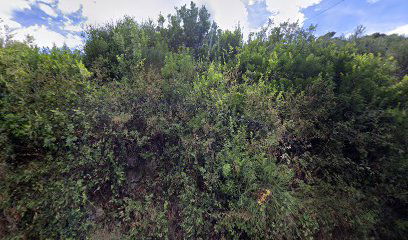 Olive cottage at Punta Ruzmarin