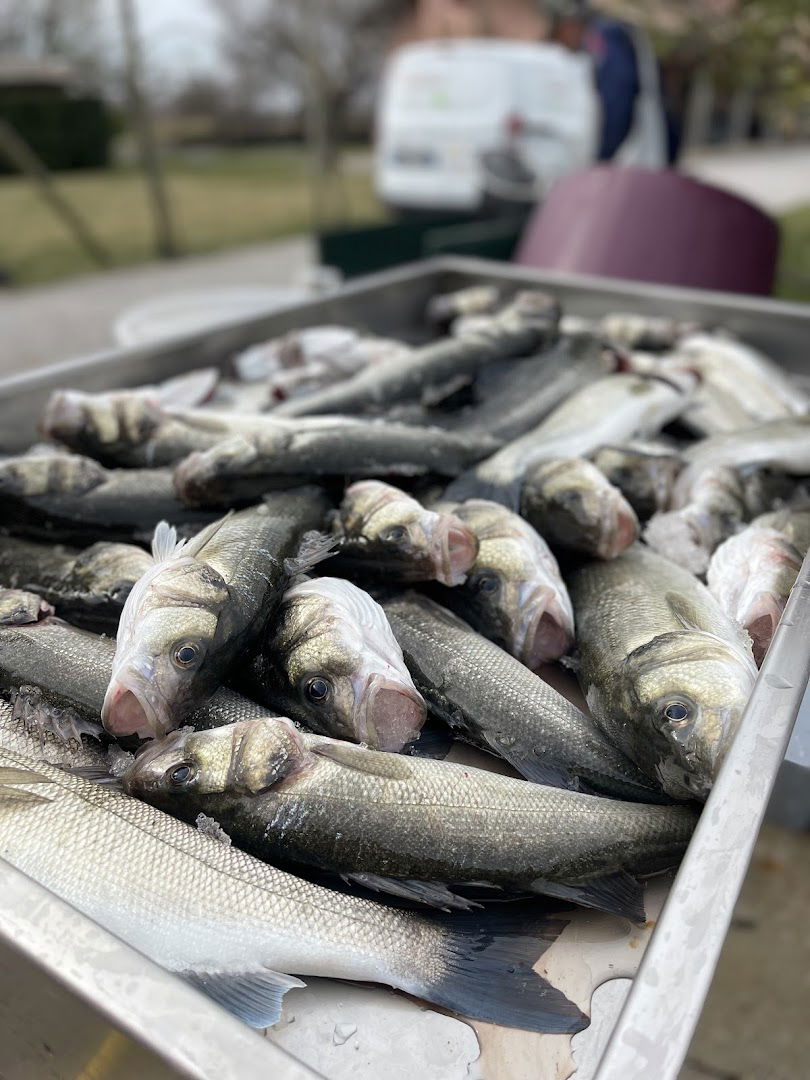 Società Agricola Valle Pantani