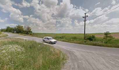 Zoroljin (Raskrsnica Sibnice i Slatine)