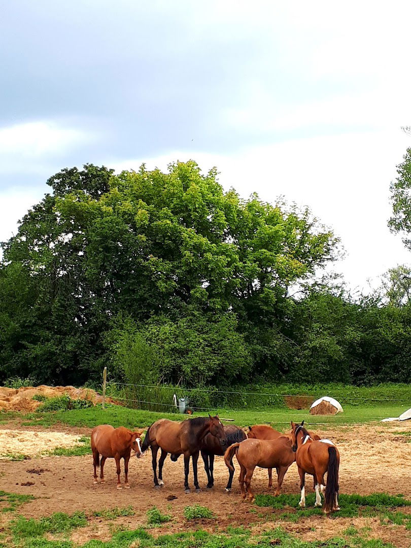 KONJIČKI KLUB “KARLOVAC”