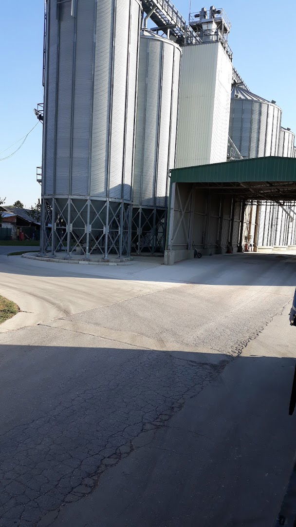 GREEN LIFE AGRO EXPORT