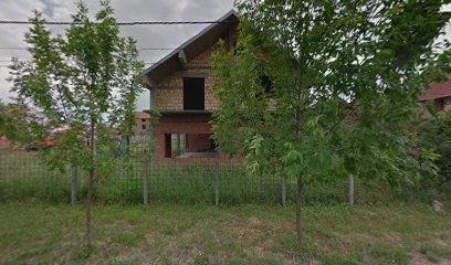 BRAĆA VOJNOVIC - ALTINA