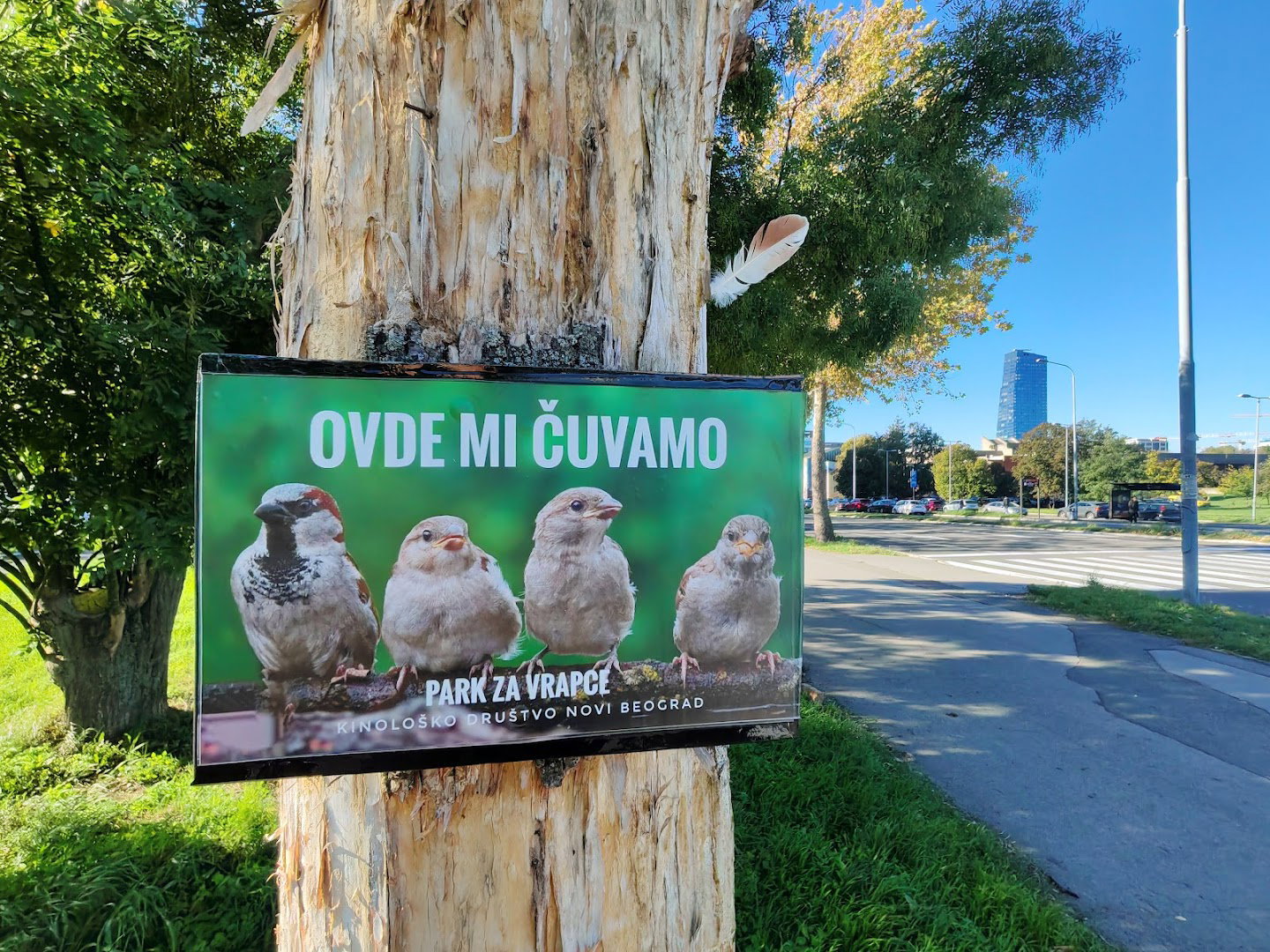 Парк за врапце