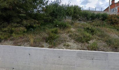 Rottweiler Split Croatia