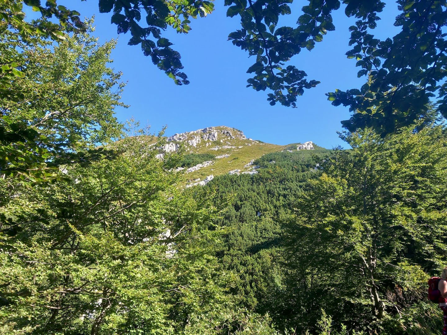 UDRUGA POSLOVNIH LJUDI PARTNER