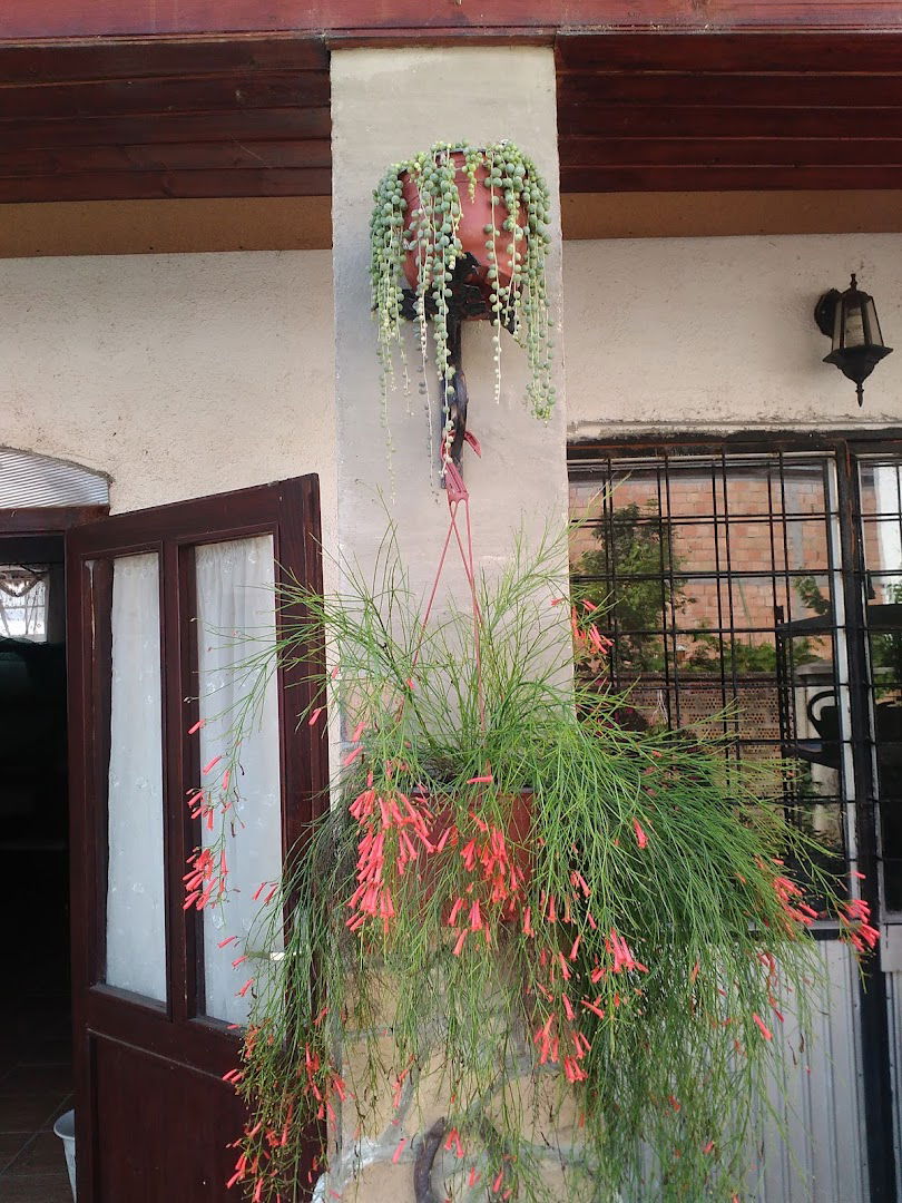 Rasadnik Kovačević