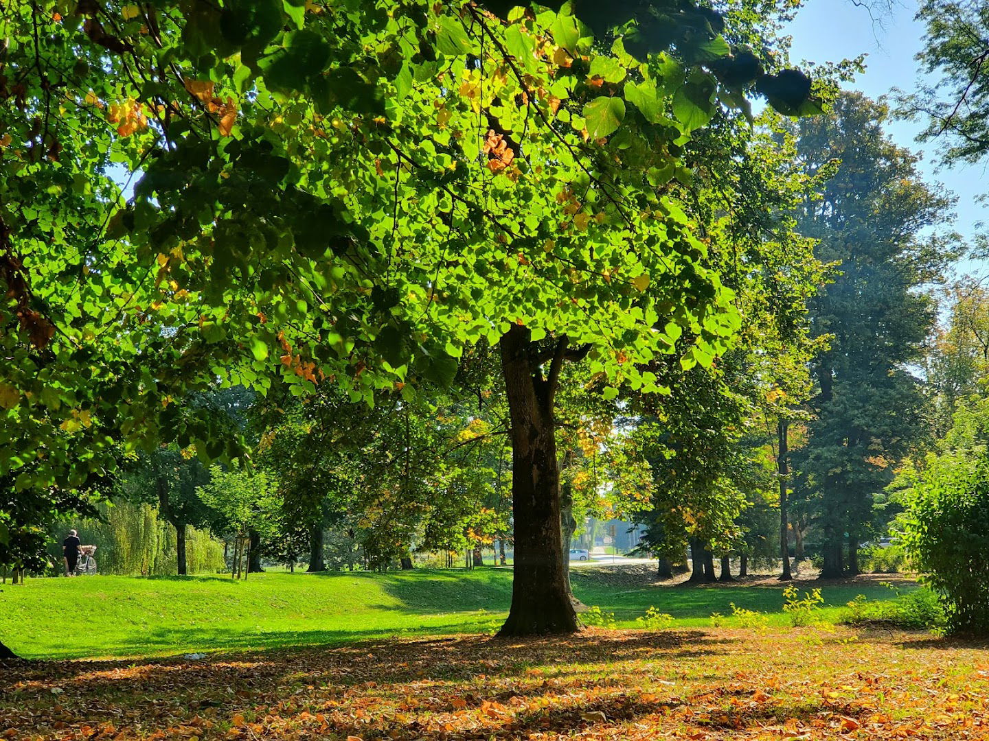 Schwarz Promenade, TZ grada Karlovca