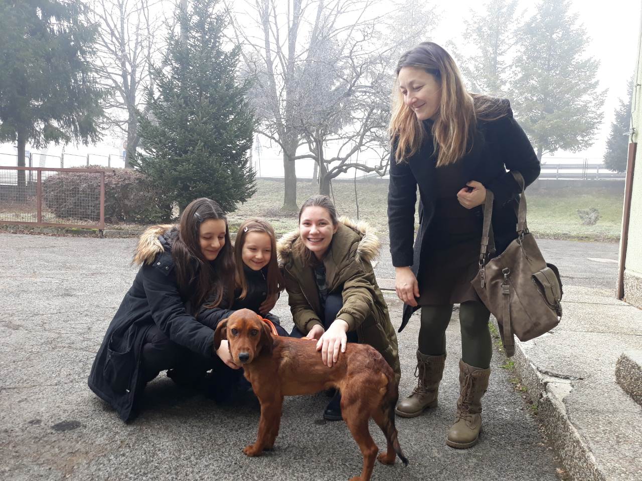 Veterinarska ambulanta Sisak