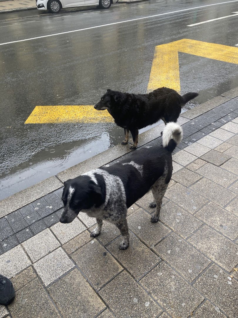 Бурек & Цевап - Burek & Ćevap