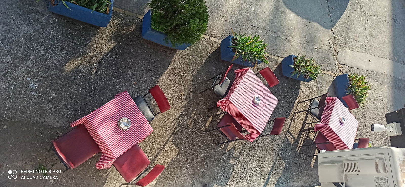 Mićina domaća kujna