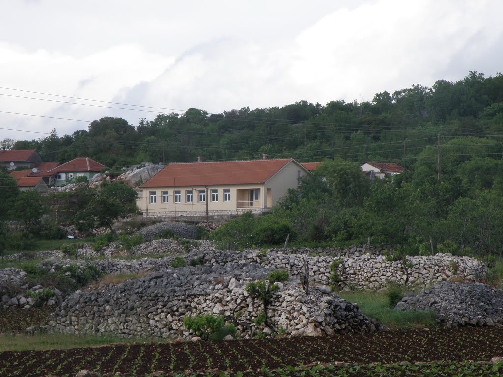 Osnovna škola Tin Ujević Vitina, podružnica Grljevići