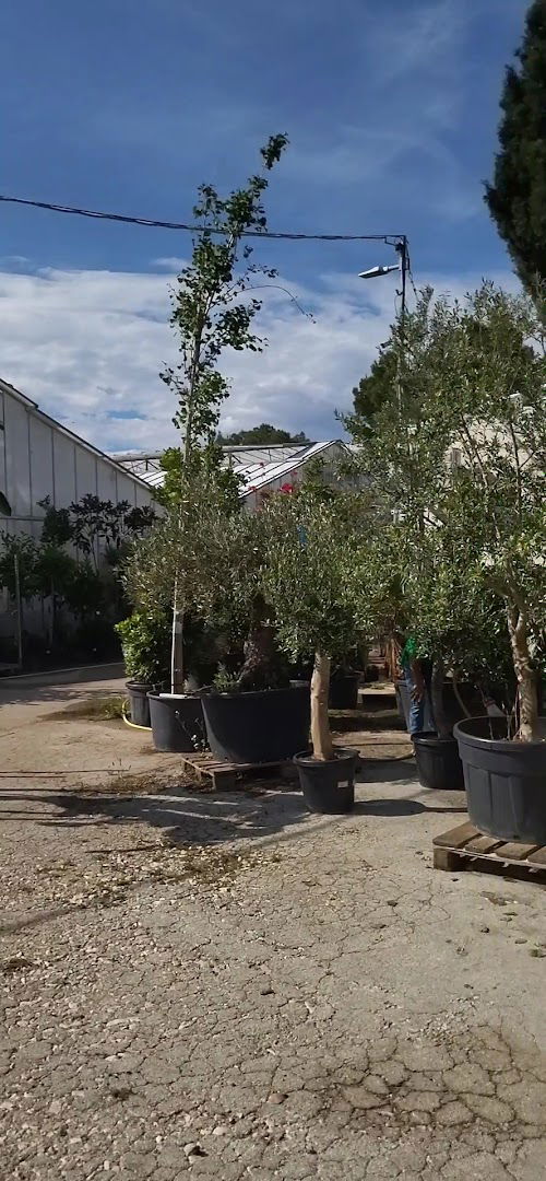 VAŠ VRT d.o.o. SPLIT