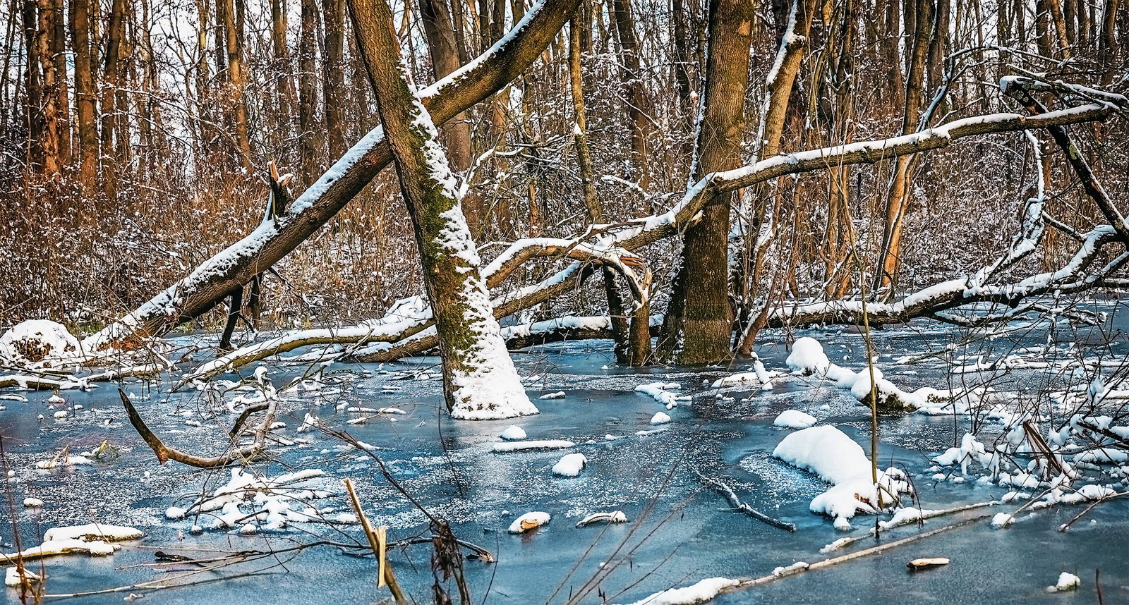 Lokalitet Jazbinska Bara
