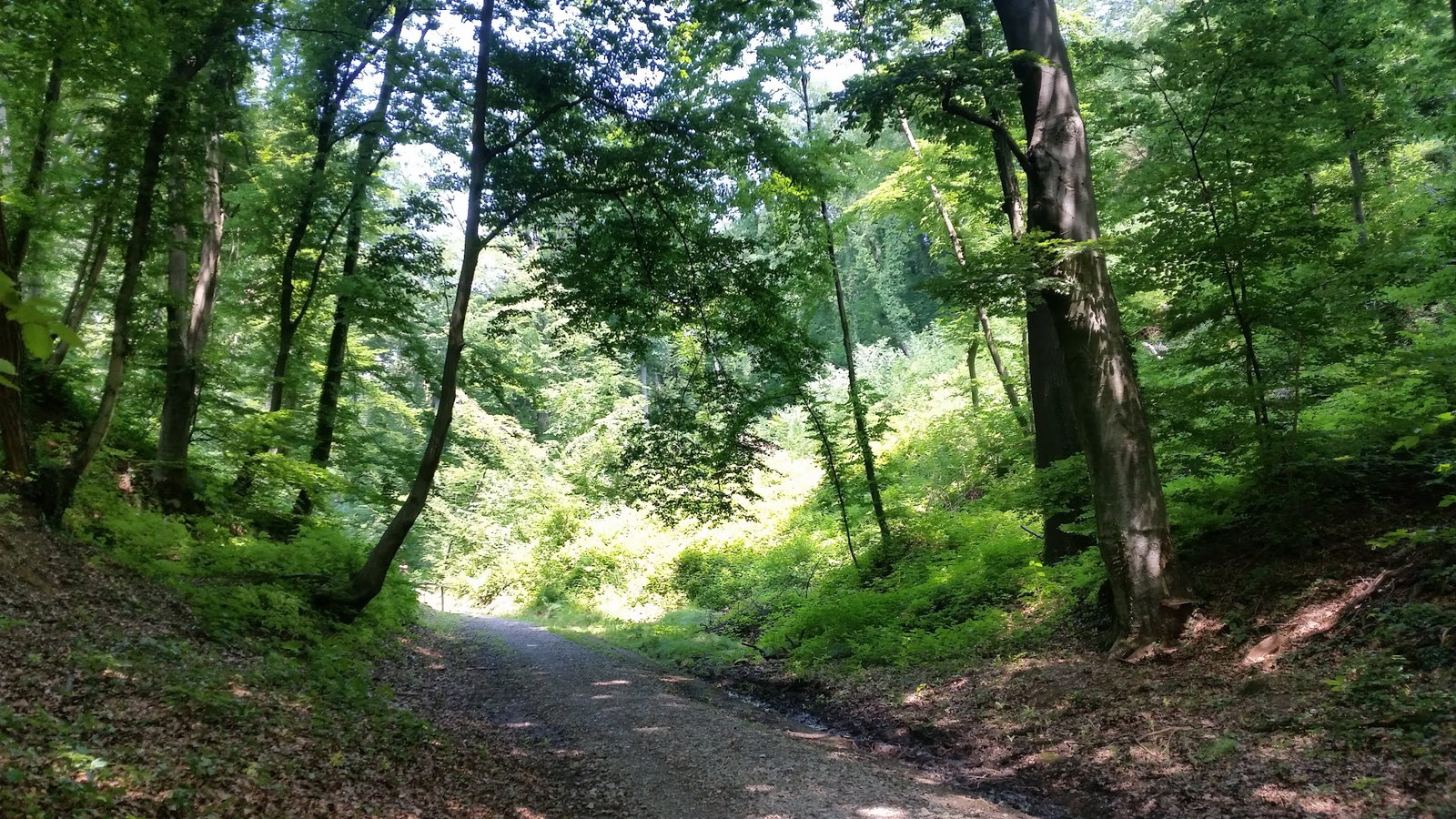 Jelenovac-Šercerova