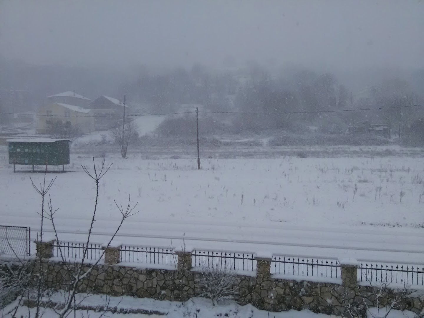 GALA MED J.D.O.O. ZA PČELARSTVO I TRGOVINU