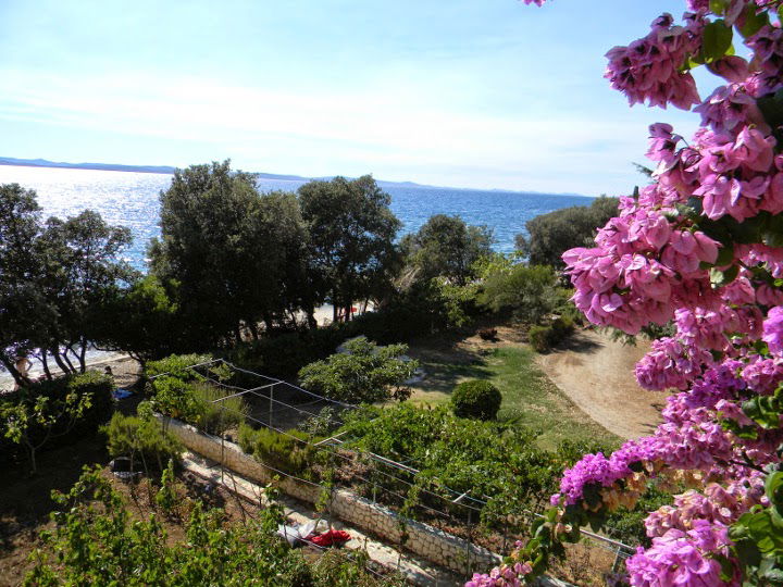 Apartments Puhalović