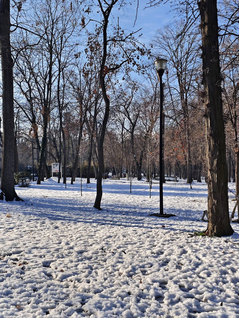 Outdoor Fitness Park