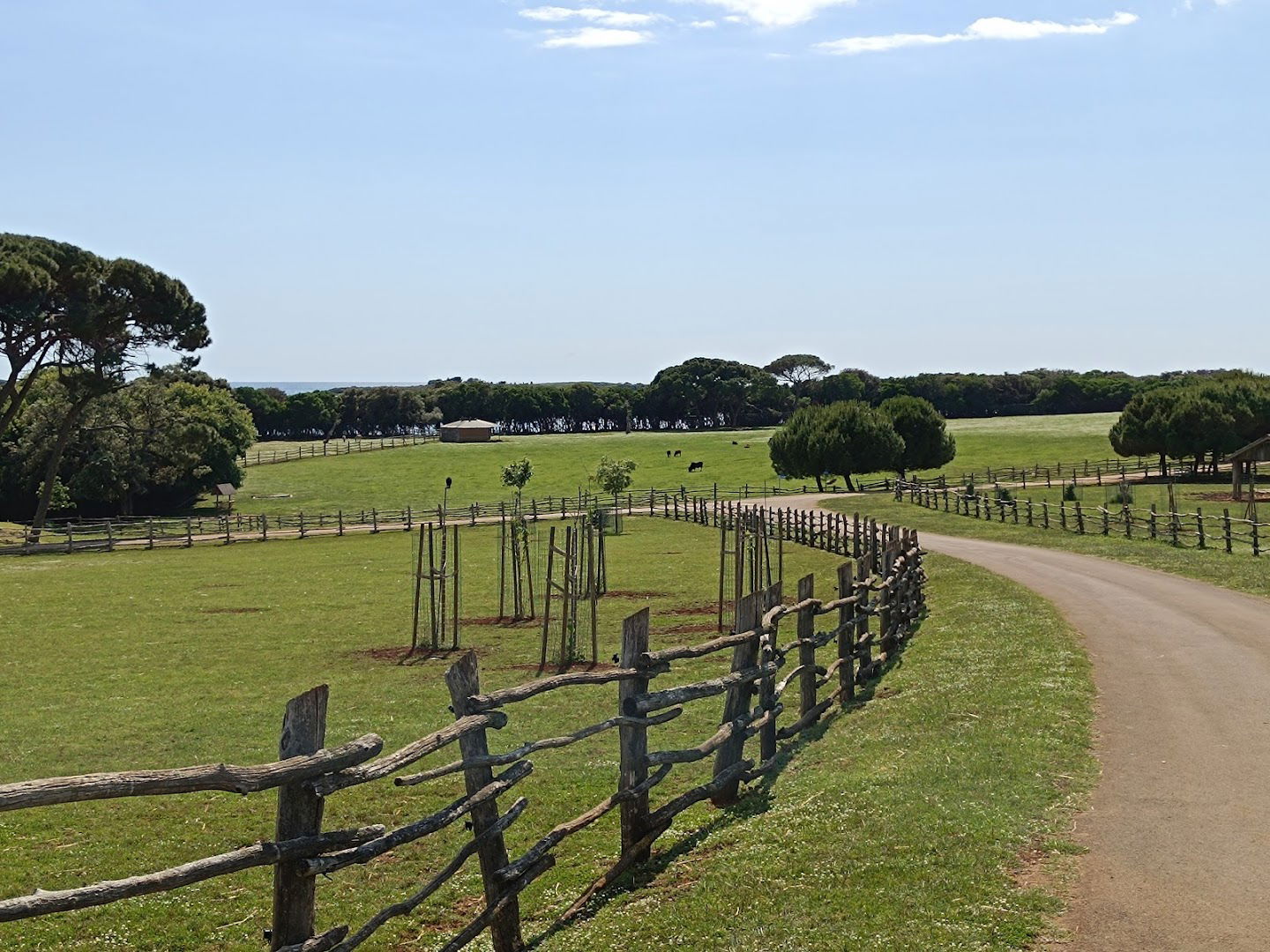 Safari park, NP Brijuni