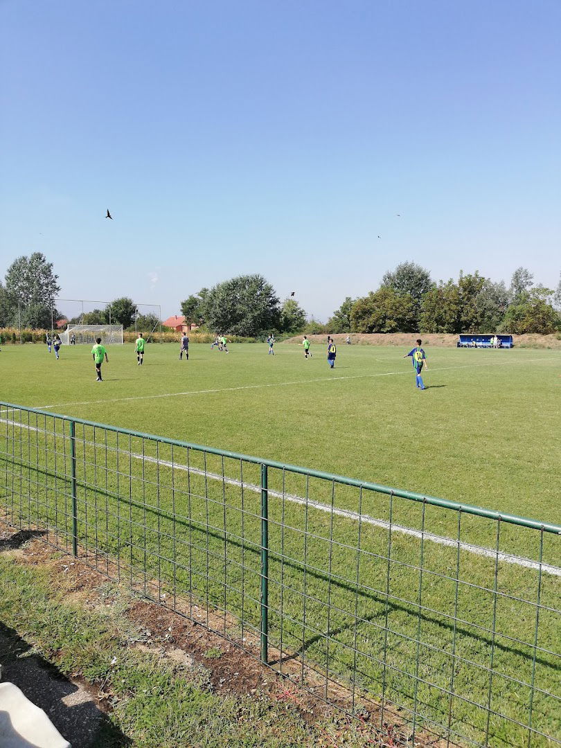 Фк Кртинска