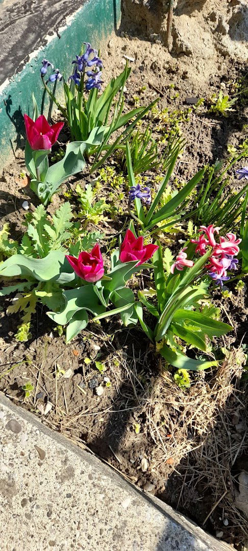 TEHNO - ADAMIĆ, SERVIS KUĆANSKIH APARATA, TRGOVINA, UVOZ-IZVOZ, D.O.O.