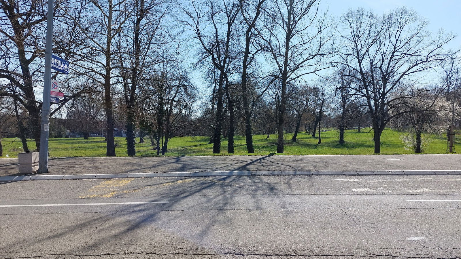 Bulevar kneza Aleksandra Karađorđevića