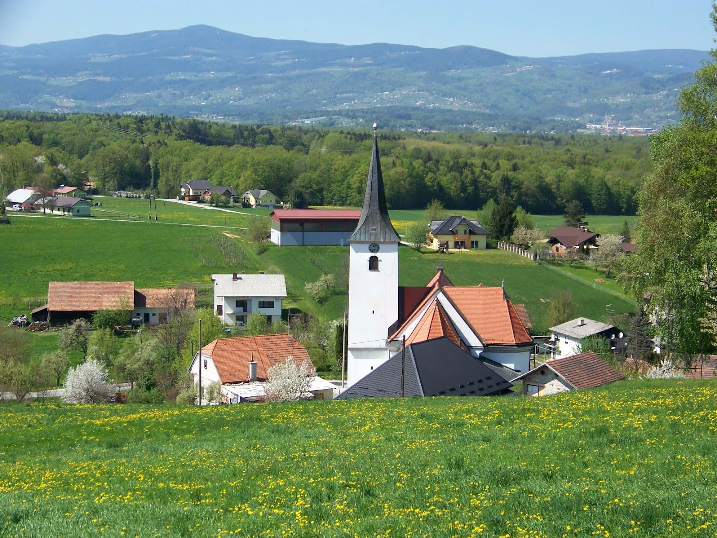 Župnija Laporje