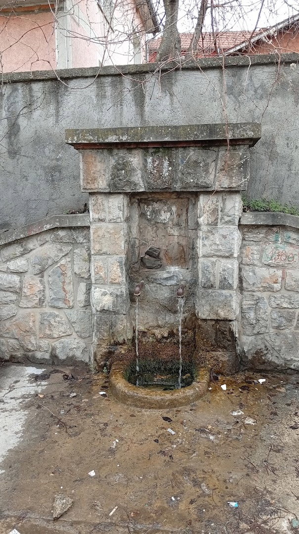 Izvor-česma (Spring)