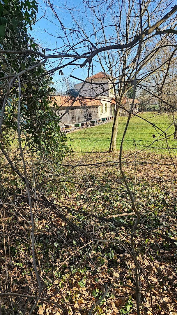 Pčelinjak - gospodarstvo biskupa Jurja Haulika, 19. st.