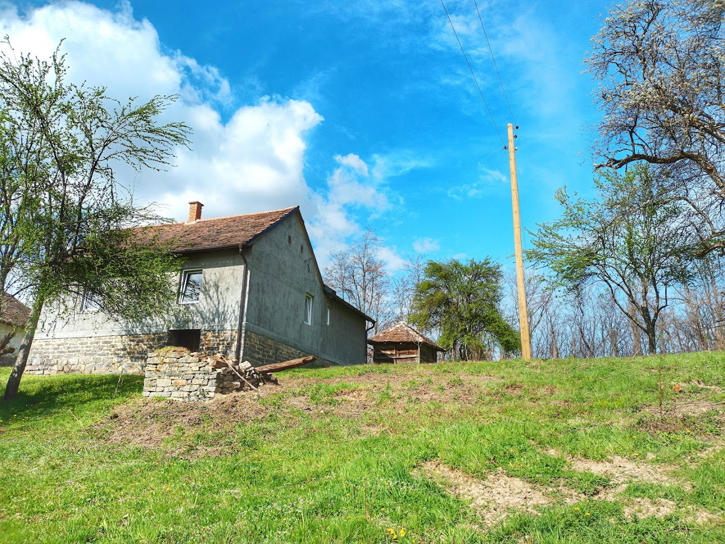 Цветуља Мићићи