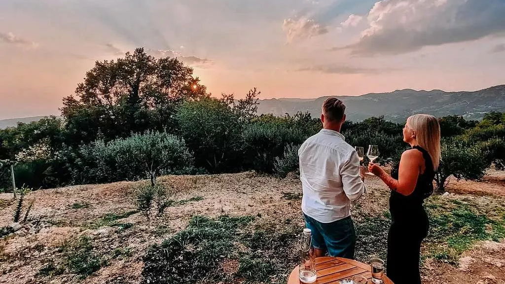 Vardia Vineyard & Olive oil tasting reservation only