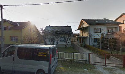 TAXI DUDO, DUBRAVKO OBRADOVIĆ