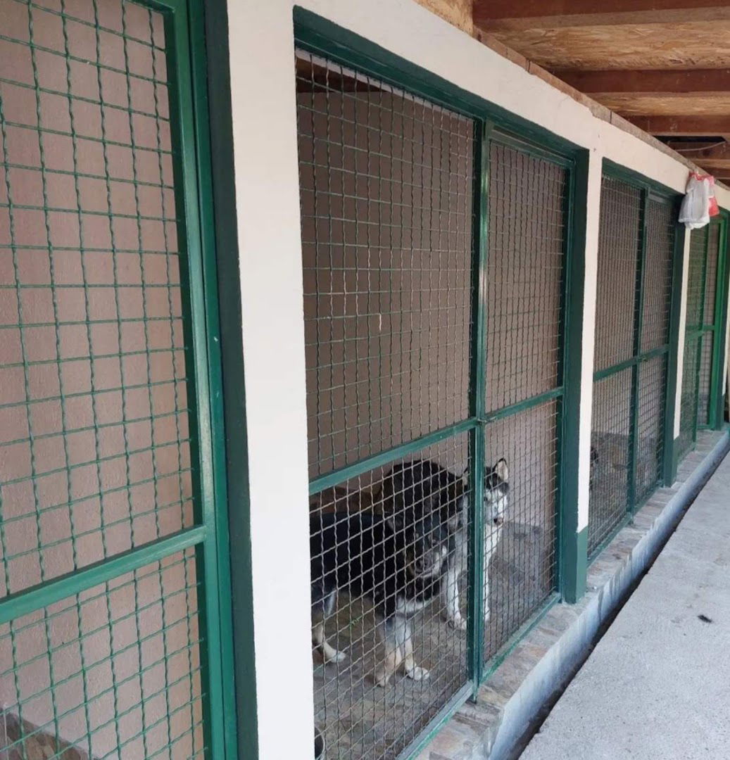 Pansion za pse "Happy Dog"